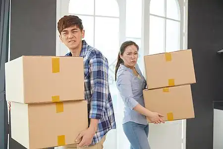 照片  |一根长满沉重梨子的树枝照片  |成熟的男人抱着沉重的重量照片