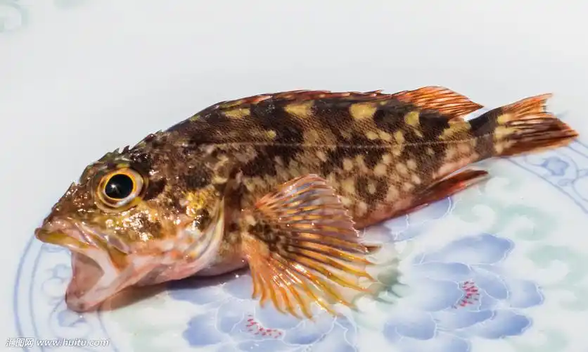 东福岛旅游指南