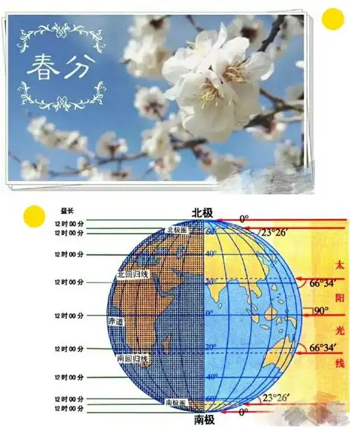 "春分野菜香,风筝蛋儿俏"——致远中二班春分节气特色活动