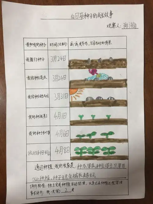 种种子,记录种子的成长,这是一堂生命课程.