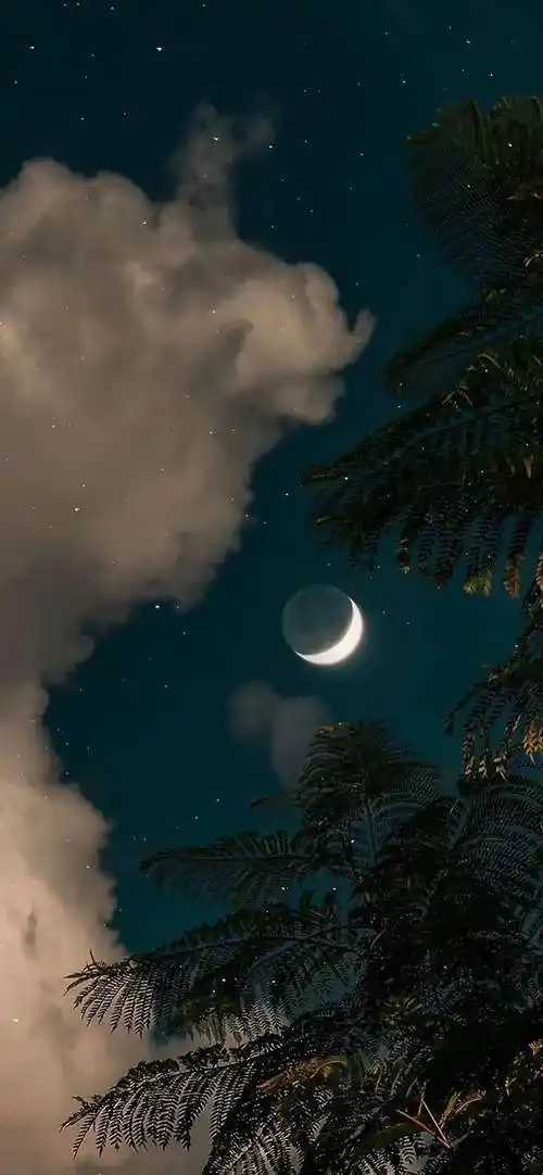 星空的微信聊天壁纸