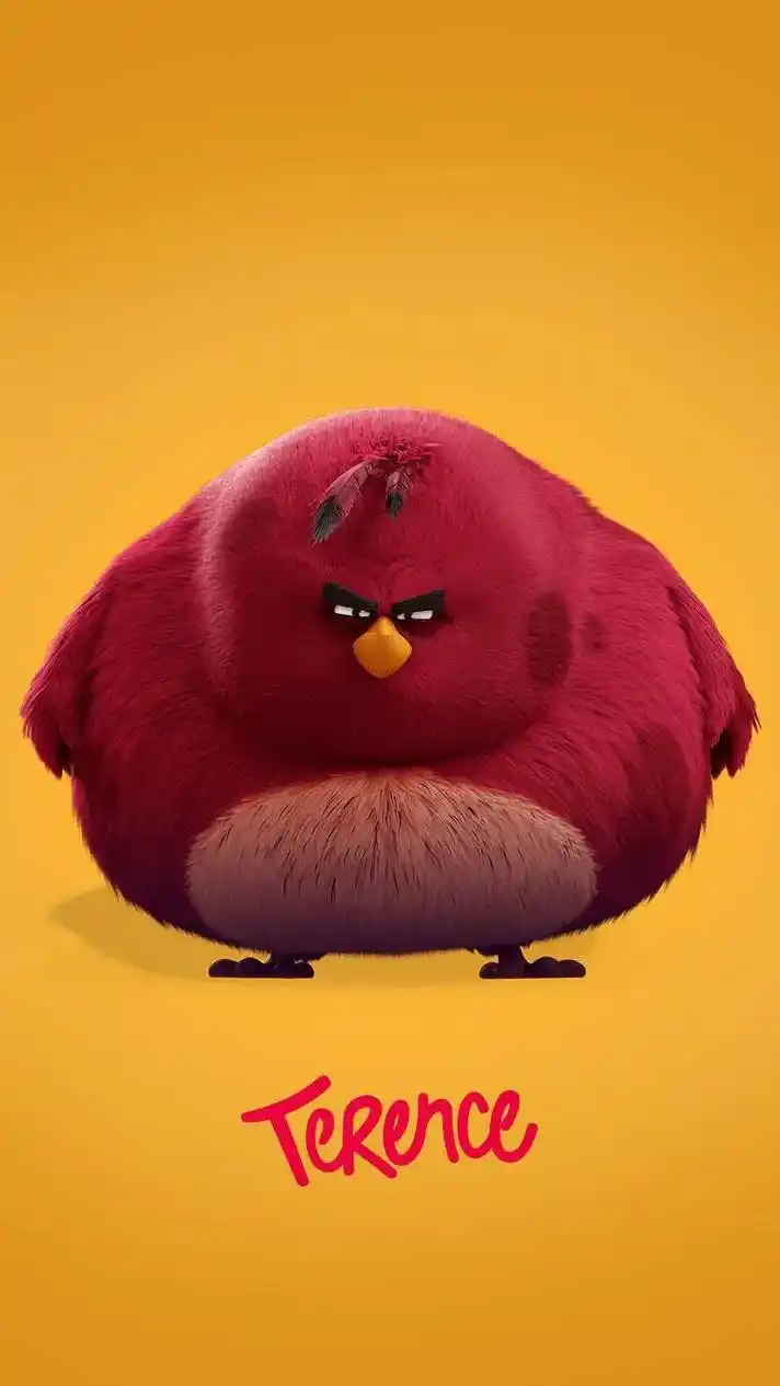 愤怒的小鸟壁纸 - 抖音