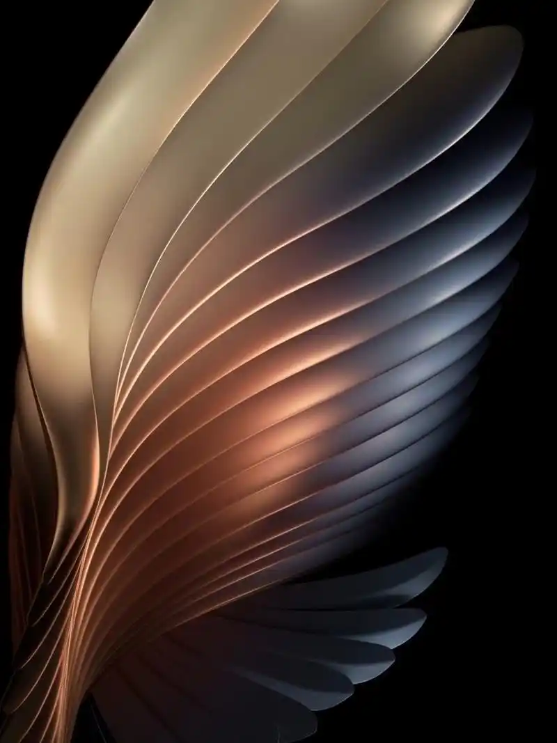 三星w21 5g心系天下原生壁纸 分享图片