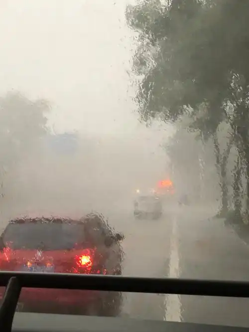 记成都一场大暴雨后家里一片狼藉到处寻猫