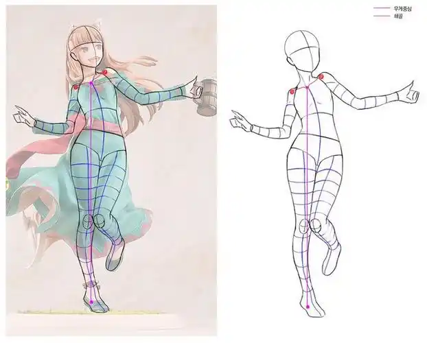 二次元人体结构