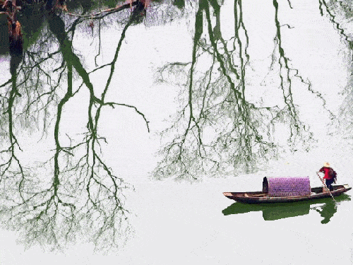 500_375gif 动态图 动图