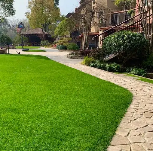 普陀混播草坪养护方法,草坪