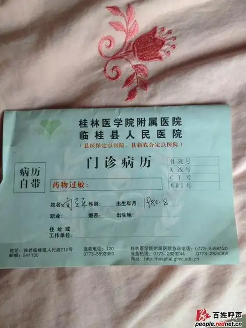 溆浦县儿媳率村干部打婆婆一帖的事实真相