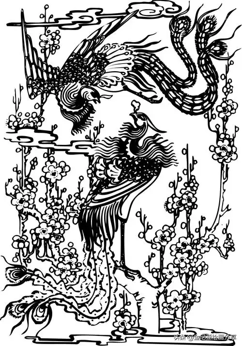 传统图案-凤凰-中国风