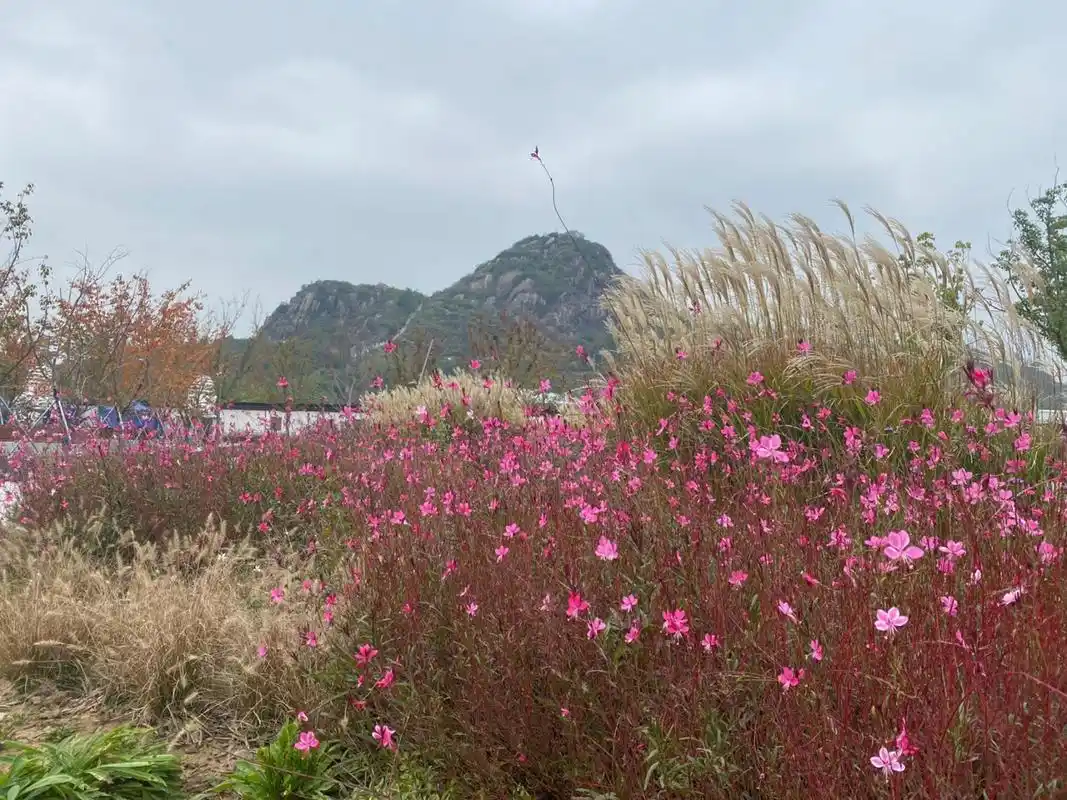 苏州狮子山 苏州狮子山,三十多年前都可以爬上去玩,自从被苏州乐园