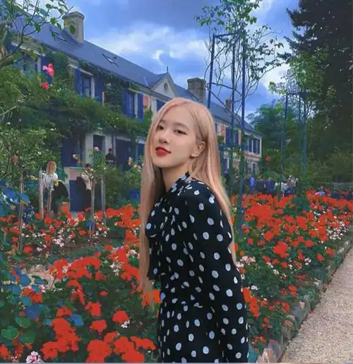 rose朴彩英(图片来源于网络 侵权删)