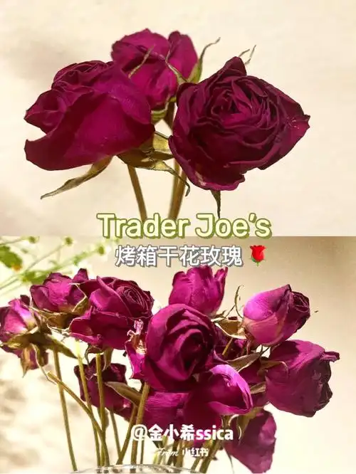 traderjoes买回来的玫瑰烤箱玫瑰干花