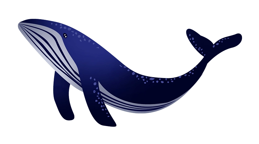 鲸鱼图片大全