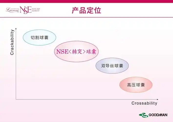 冠脉精品课件棘突球囊nsepptx