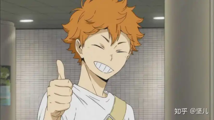 排球少年里日向翔阳算是天才吗?