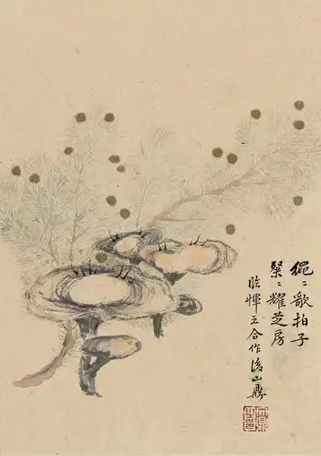 文鼎 翠柏灵芝