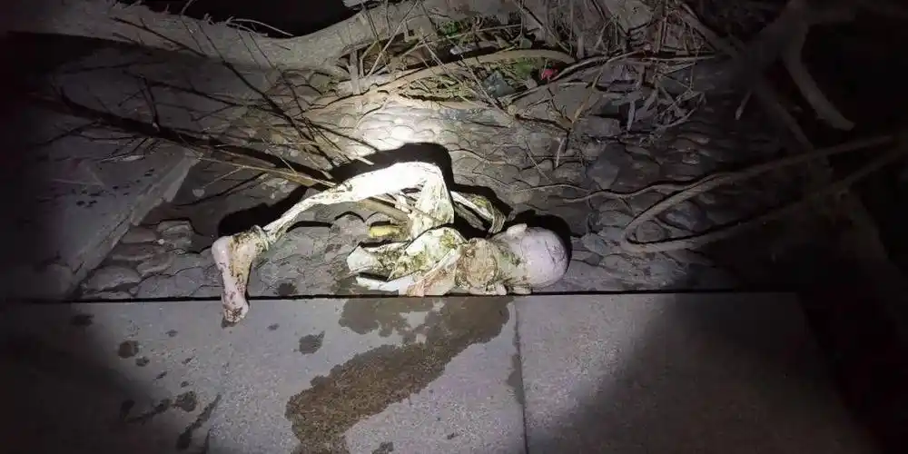 吓惨滨江公园江边惊现浮尸脚底板浮出水面