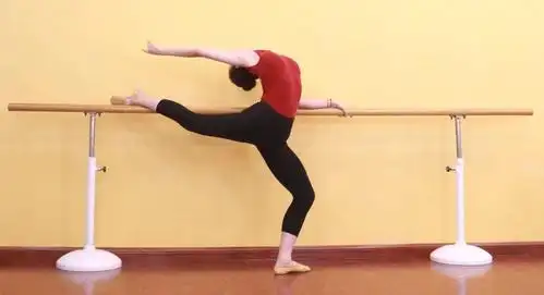 【艾莎同学小课堂】舞蹈动作之扶把压腿解析(附图示)