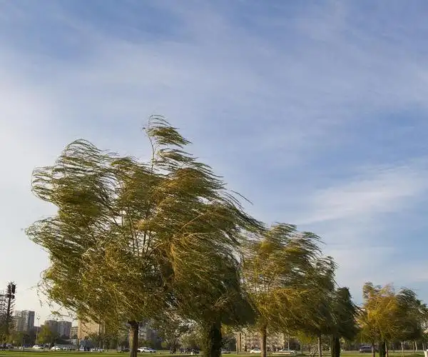 「大风预警」4月1日洛宁县气象局发布大风蓝色预警「iv级/一般」