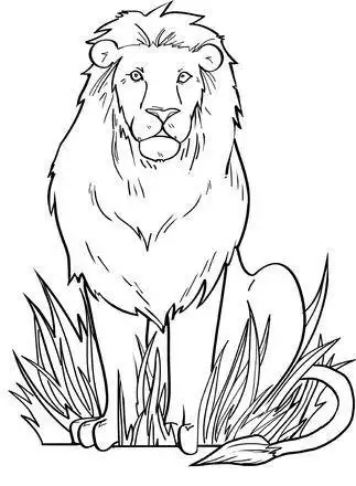森林之王狮子的简笔画教程