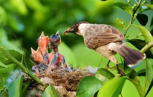 妈妈的爱,祝所有母亲节日快乐!