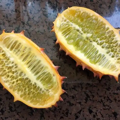 火参果汁怎么做_火参果汁的做法_飘e.fyc_豆果美食