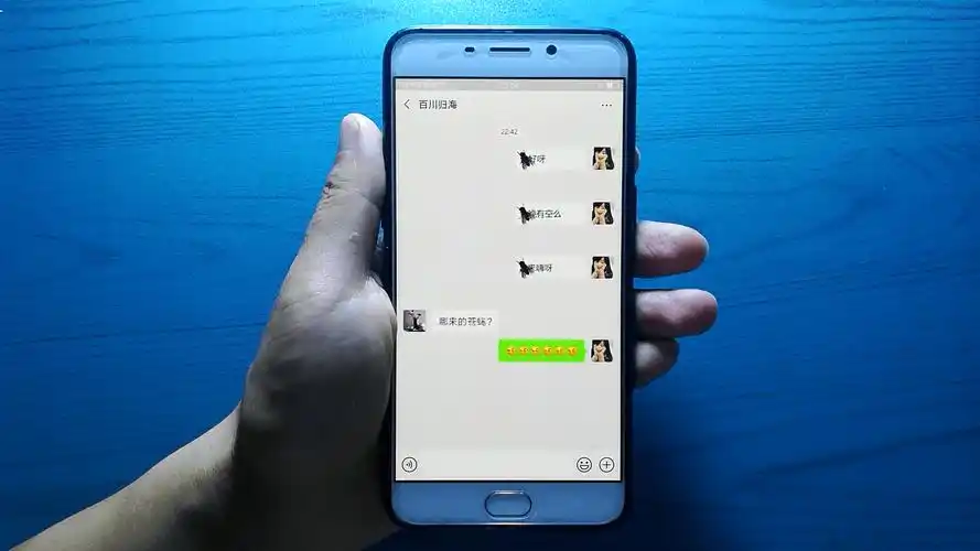 微信聊天界面居然有好几只苍蝇爬来爬去朋友强迫症都要犯了