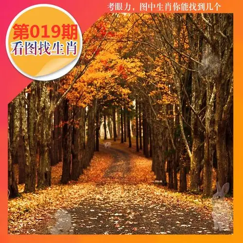 让网友们第一时间了解最新的正版/四不像图/看图找生肖资讯