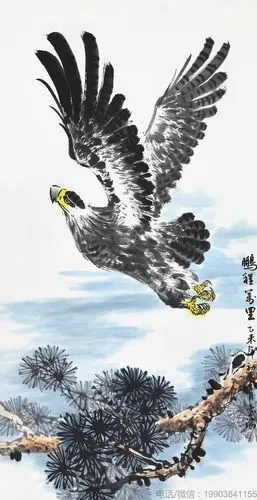 孙书海国画作品【鹏程万里】