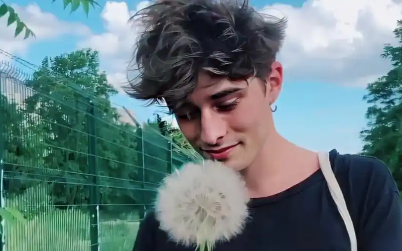 【法版skam相关/maxence】马老师吹蒲公英"变魔术"(又是让人心动的