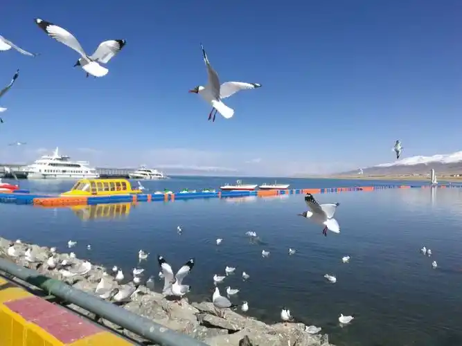 青海湖二郎剑景区美景