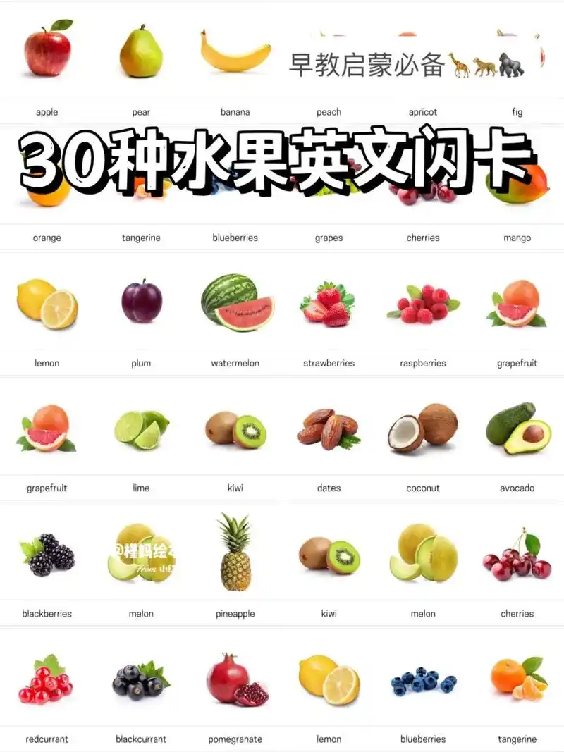 080530种水果英文闪卡|早教启蒙必备 真实的图片更好的能让宝宝