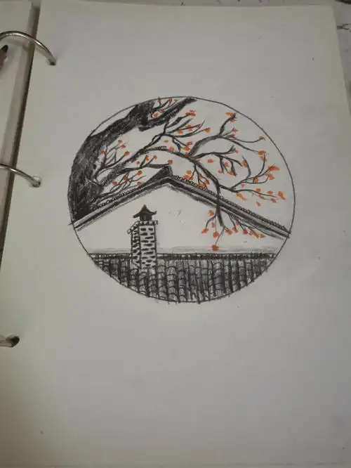 我真的是对圆形情有独钟啊#素描  #绘画临摹  #零基础素描  #素描画