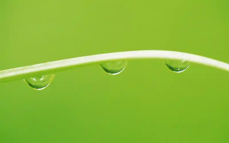 保护眼睛的壁纸集13 - 1680x1050