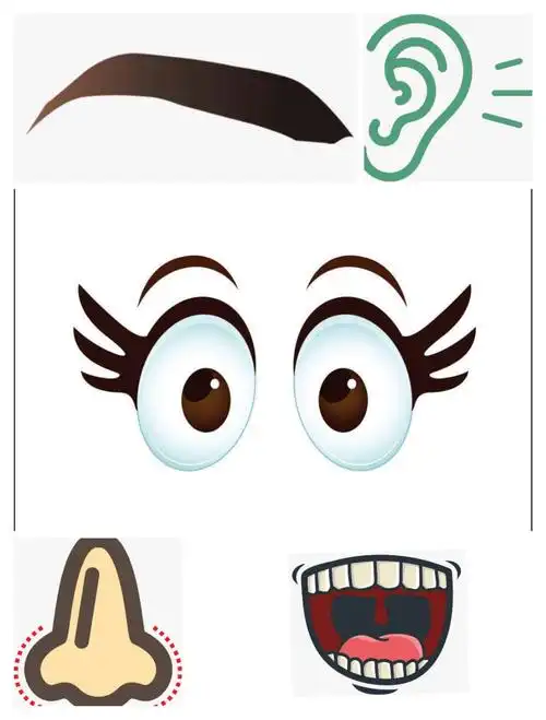 小班学习板块:艺术领域《五官歌》 - 美篇