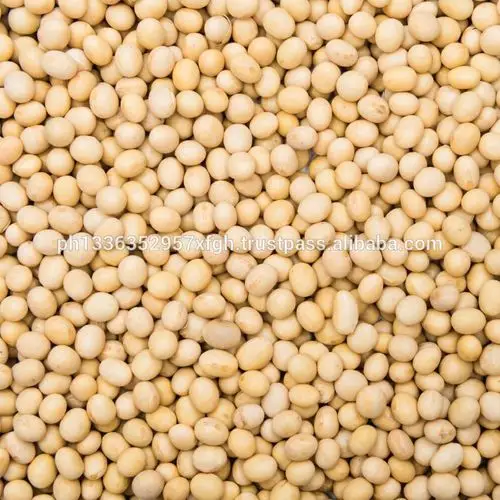 premium quality soybean/ soya bean/ soybeans seeds from brazil