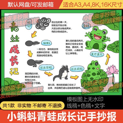 小蝌蚪青蛙成长记录手抄报小报模板电子版半成品黑白线稿涂色填色