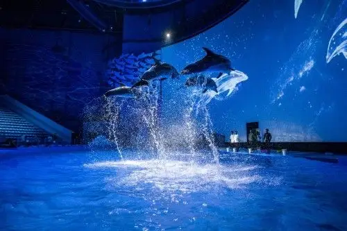 ( 重庆融创文旅城-融创海世界 )