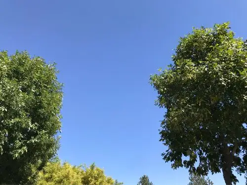 922日,星期六,晴空万里,万里无云,湛蓝湛蓝的天空美丽极了!