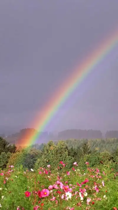 彩虹- 堆糖,美图壁纸兴趣社区