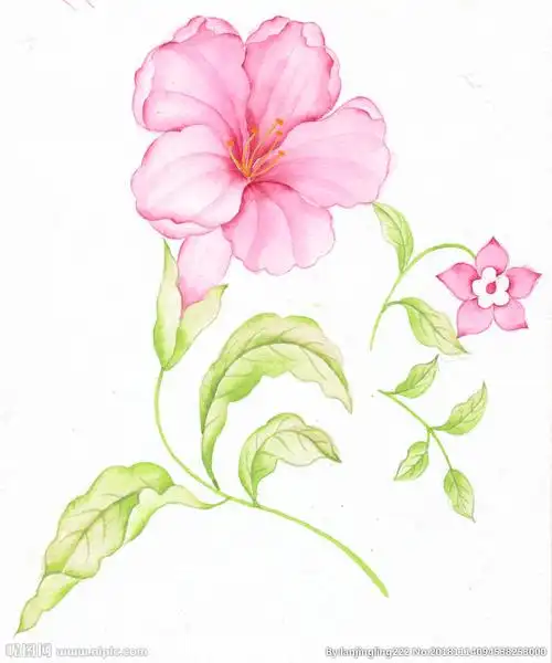 手绘花图片