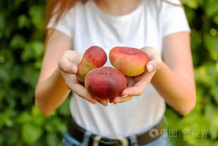 孤独的年轻女子手里拿着一些红色的飞机桃子桃李中国
