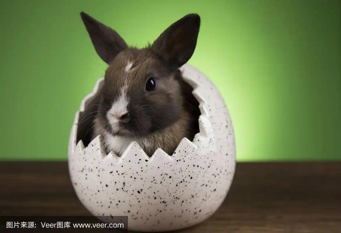 可爱的,小的,复活节彩蛋,小兔子,复活节