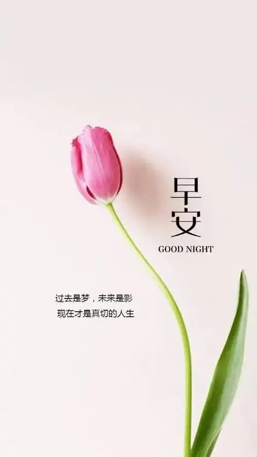 03.28」早安心语,正能量春天努力奋斗语录句子,不负春光