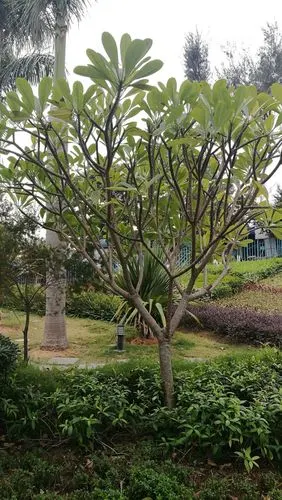 福建行(二)在厦门(上)