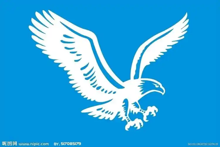 雄鹰网 雄鹰保险