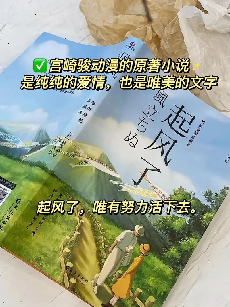 宫崎骏《起风了》的世界太治愈了叭.