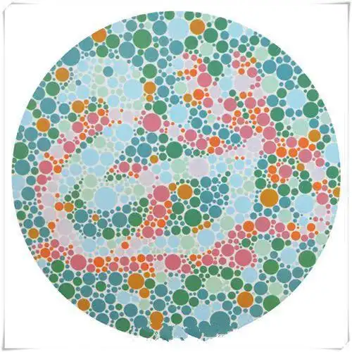 车管所4张色盲测试图98的人只能看前3张最后看出来的是大神