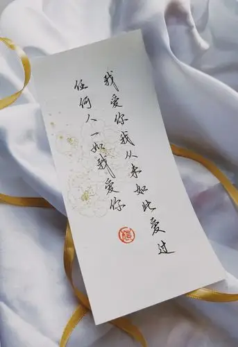 『 我爱你,我从未如此爱过任何人,一如我爱你.』