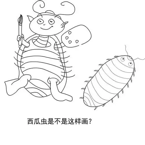 西瓜虫的身体怎样画?_百度知道